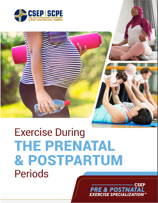 The cover of the Exercise During the Prenatal & Postpartum Periods Manual