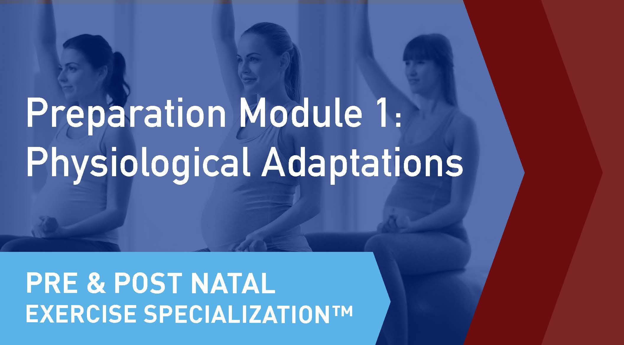 The online learning module cover of the CSEP Pre and Postnatal Exercise Specialization Preparation Module 1