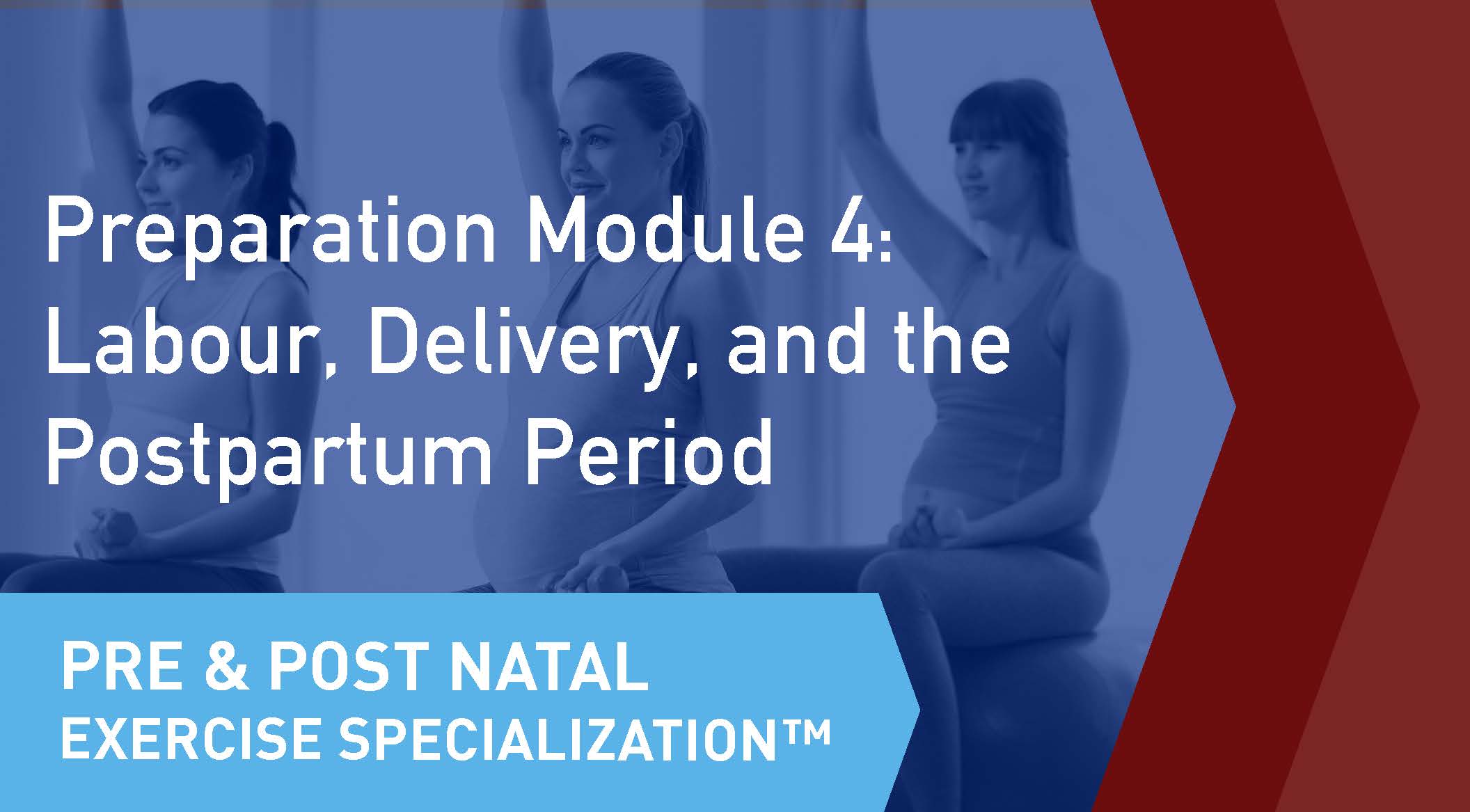 The online learning module cover of the CSEP Pre and Postnatal Exercise Specialization Preparation Module 4
